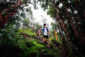 BIB: 
                            <button type="button" onclick="openModal(26201890)" class="btn btn-primary btn-sm float-right btn-popup" data-toggle="modal" data-target=".modal-high-quality">
                        <i class="fas fa-shopping-cart"></i> Add to Cart
                    </button>
                                            <button type="button" onclick="isThisMe(26201890, true)" class="btn btn-success btn-sm float-right btn-popup btn-isme hidden" data-toggle="tooltip" data-placement="bottom" title="นี่คือรูปของคุณใช่ไหม คลิกที่นี่เพื่อเอาเข้าอัลบั้ม">
                        <i class="fas fa-plus"></i> Add to album
                    </button>
                    <button type="button" onclick="isThisMe(26201890, false)" class="btn btn-warning btn-sm float-right btn-popup btn-isnotme hidden">
                        <i class="fas fa-ban"></i> Remove from album
                    </button>